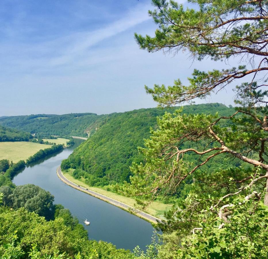 Cocooning Near Dinant 300M From River Meuse ブレモン エクステリア 写真
