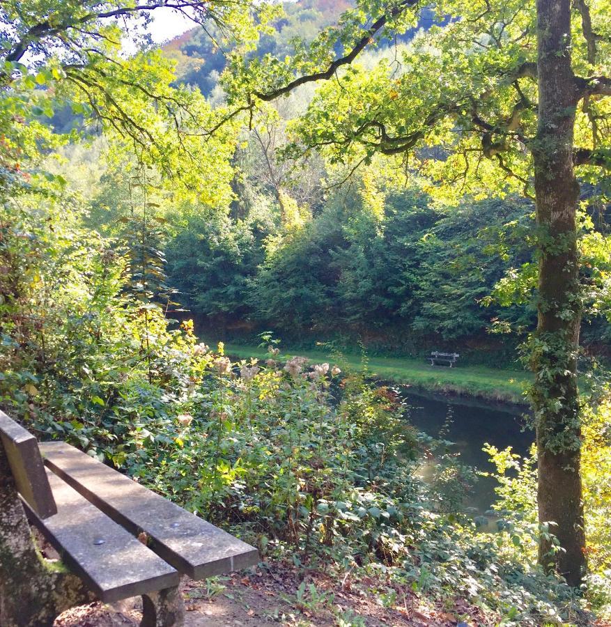 Cocooning Near Dinant 300M From River Meuse ブレモン エクステリア 写真